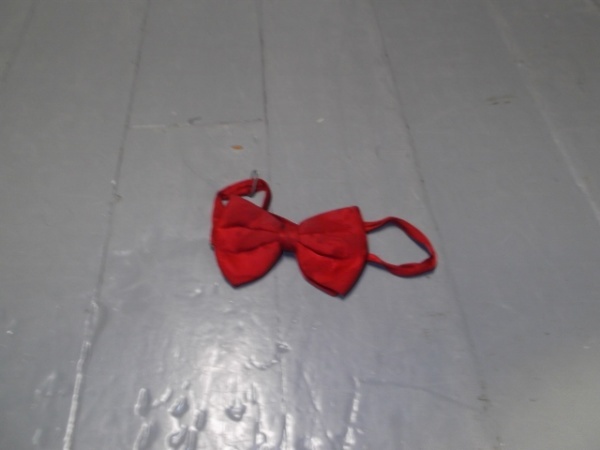 Red Bowtie-BWTI 7022- Tonal paisley design