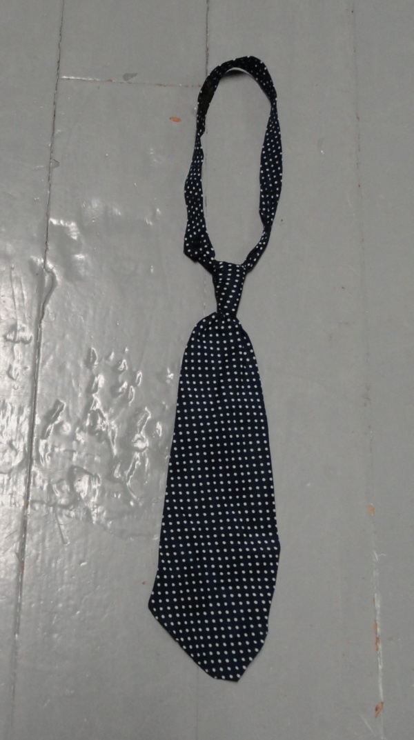 blue and white Necktie-TI 4374- pretied tiny polka dots (Neck: 16 inches; Tie: 13 inches)